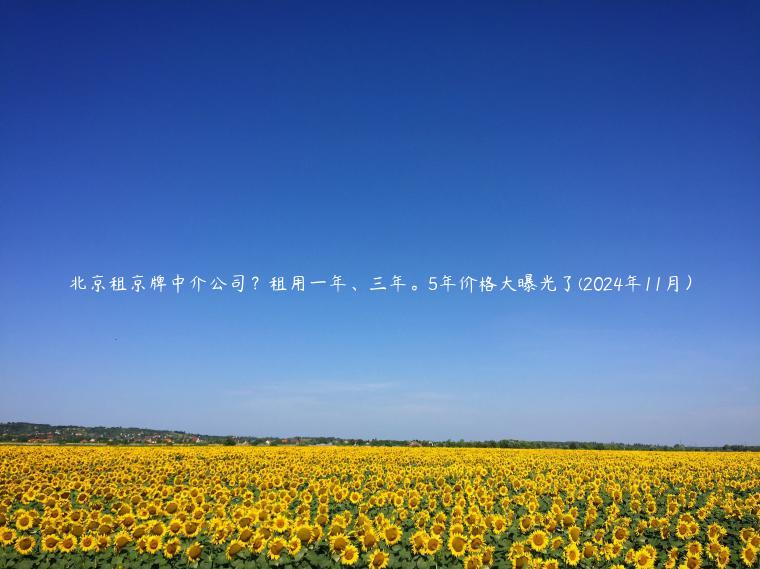 北京租京牌中介公司？租用一年、三年。5年价格大曝光了(2024年11月）