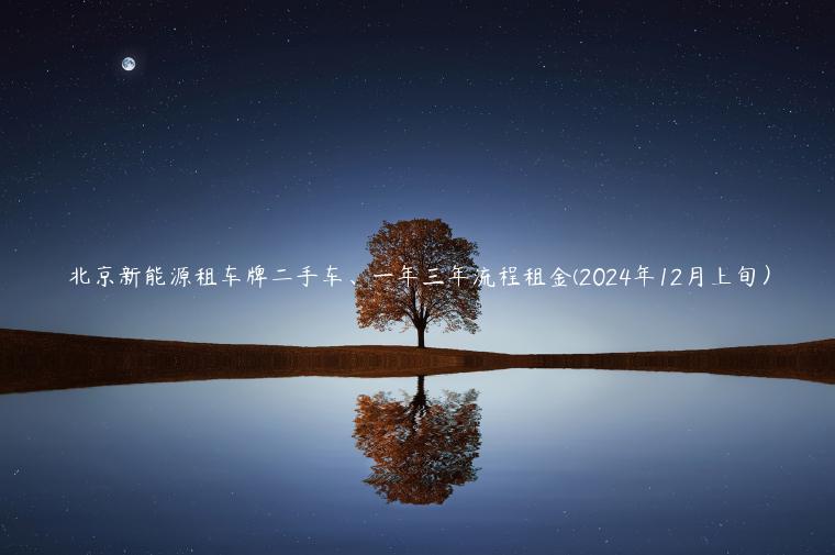 北京新能源租车牌二手车、一年三年流程租金(2024年12月上旬）