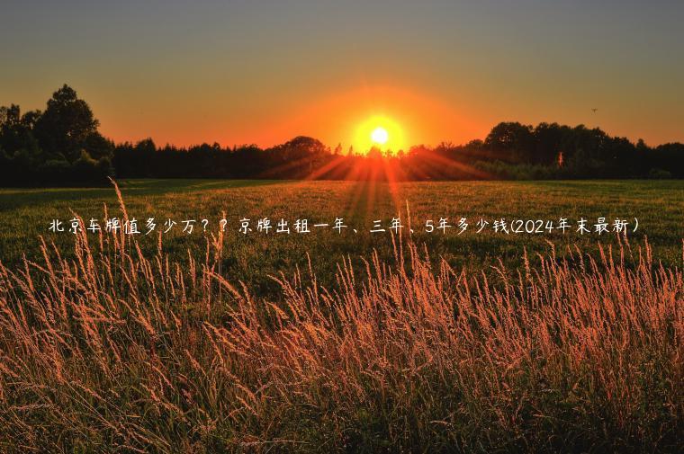 北京车牌值多少万？？京牌出租一年、三年、5年多少钱(2024年末最新）