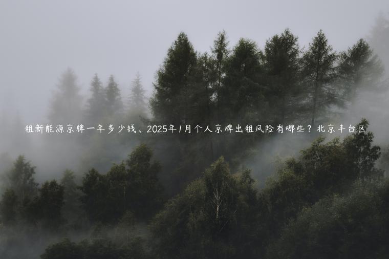 租新能源京牌一年多少钱、2025年1月个人京牌出租风险有哪些？北京丰台区