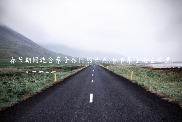 春节期间适合亲子旅行的景点(春节亲子游去哪里)