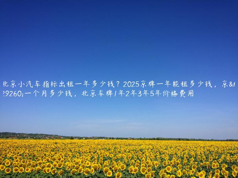 北京小汽车指标出租一年多少钱？2025京牌一年能租多少钱，京牌一个月多少钱，北京车牌1年2年3年5年价格费用
