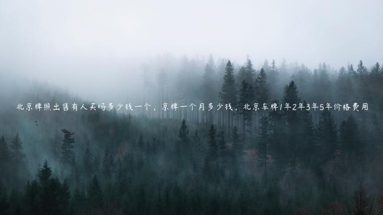 北京牌照出售有人买吗多少钱一个，京牌一个月多少钱，北京车牌1年2年3年5年价格费用