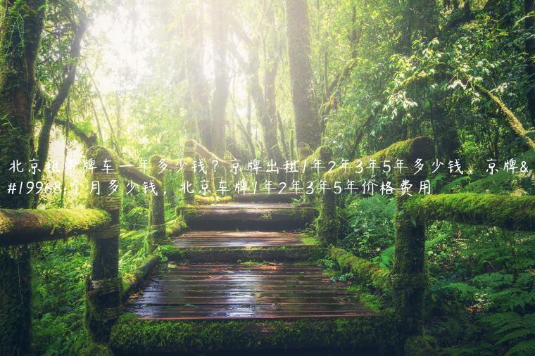 北京租带牌车一年多少钱？京牌出租1年2年3年5年多少钱，京牌一个月多少钱，北京车牌1年2年3年5年价格费用