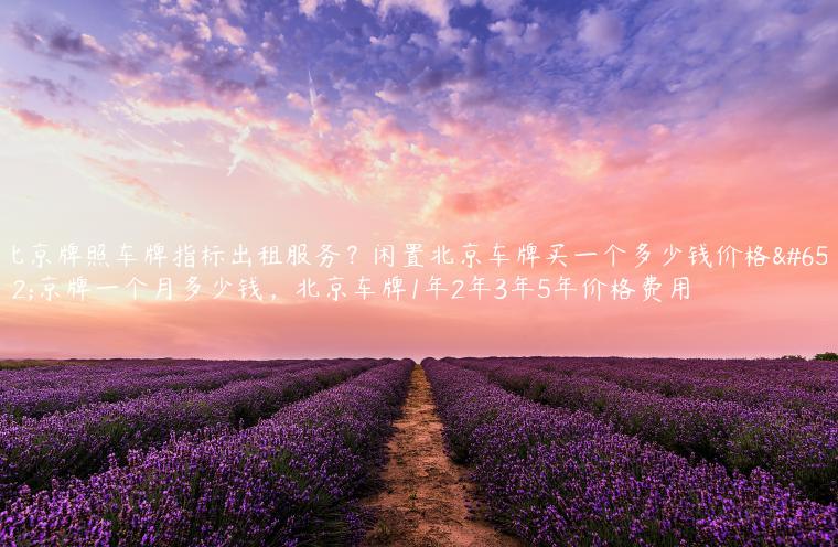 北京牌照车牌指标出租服务？闲置北京车牌买一个多少钱价格，京牌一个月多少钱，北京车牌1年2年3年5年价格费用