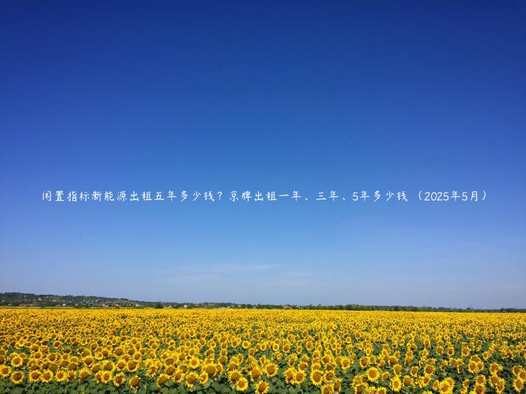 闲置指标新能源出租五年多少钱？京牌出租一年、三年、5年多少钱 （2025年5月）