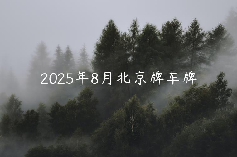 2025年8月北京牌车牌